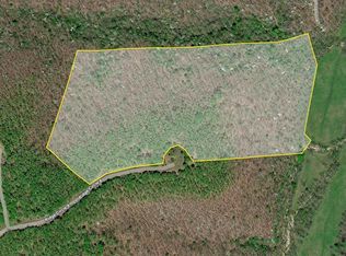 1 Greenbrier Ln, Tunas, MO 65764