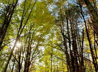 LOT 9 Lake View Hill Rd, Bolton Landing, NY 12814
