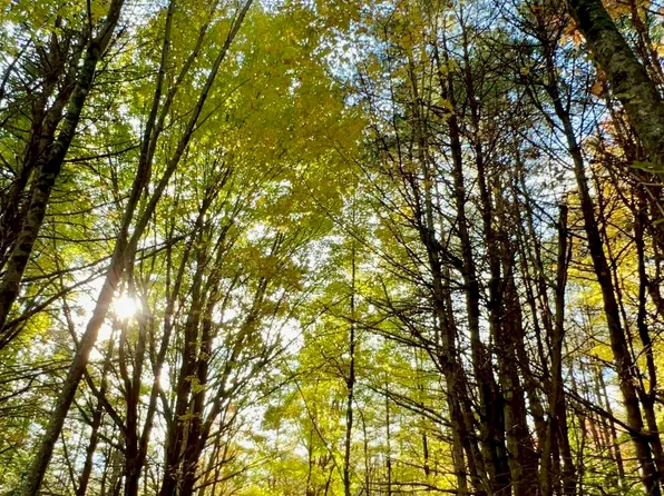 Lot 9 Lake View Hill Rd, Bolton Landing, NY 12814