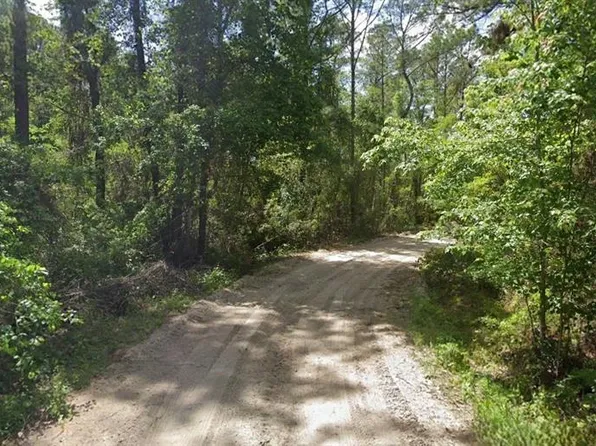 135 Buckles Dr, Palatka, FL 32177