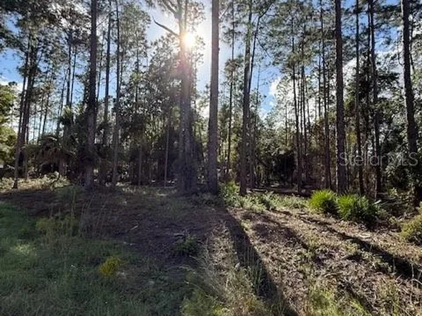 215 Hideaway Ln Lot 17, Georgetown, FL 32139