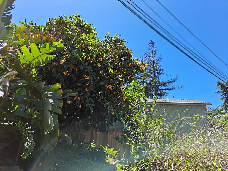 Kendall Ave — Photo 13