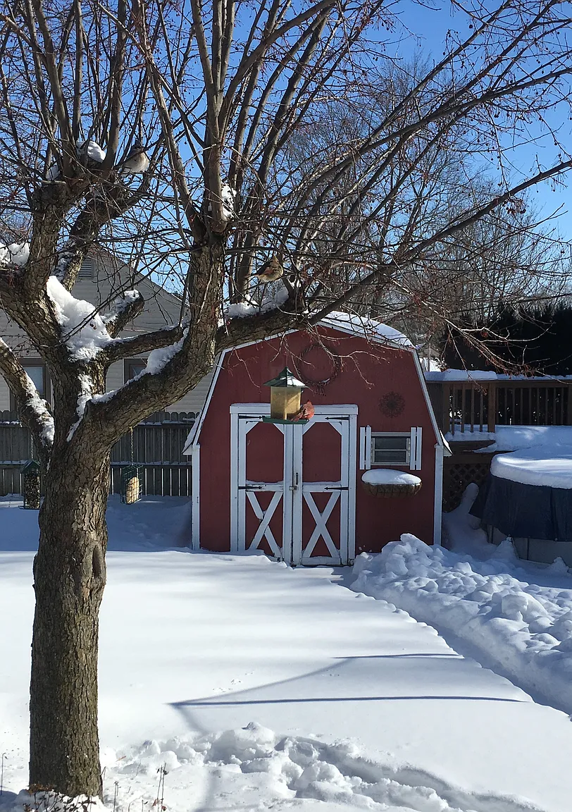 1009 C St photo 1