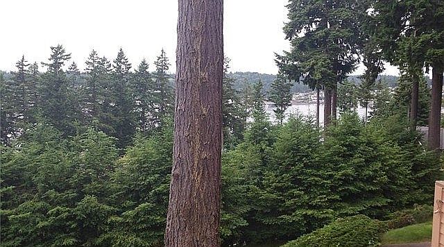 2nd image of 8228 26th Ave Nw