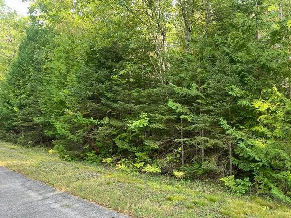 LOT 298 Sunaqua Dr, Presque Isle, MI 49777