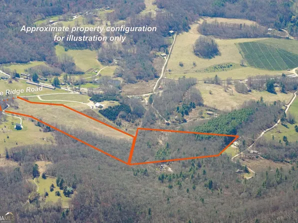 10384 Hale Ridge Rd, Dillard, GA 30537