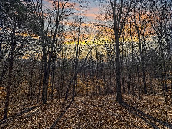 5th image of 2287 Butcher Ridge Rd