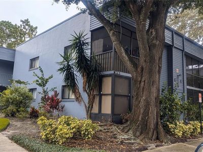 2415 Oak Park Way #115, Orlando, FL, 32822