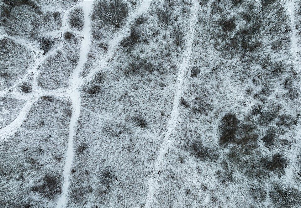 0 Brace Rd 15, Victor, NY 14564 Zillow