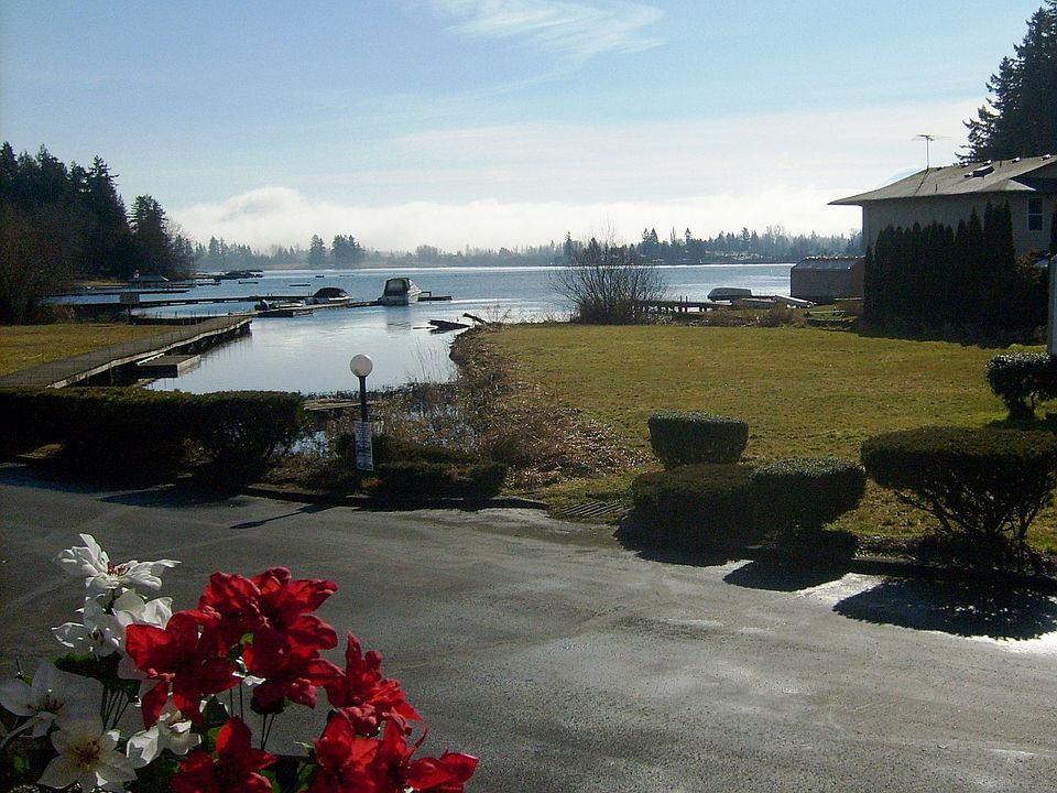 View from front window/deck