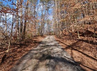 6587 Rufus Bryant Rd, Dahlonega, GA 30533