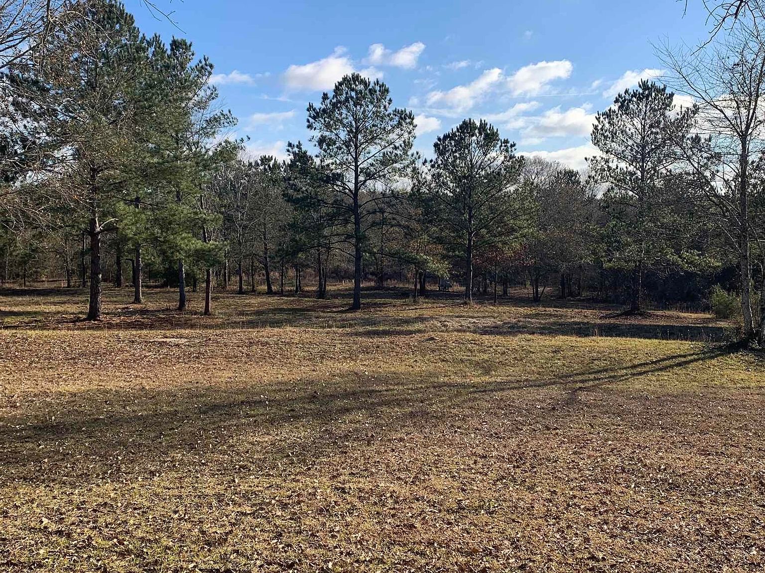 12001 Wells Rd, Dozier, AL 36028 | MLS #24033 | Zillow