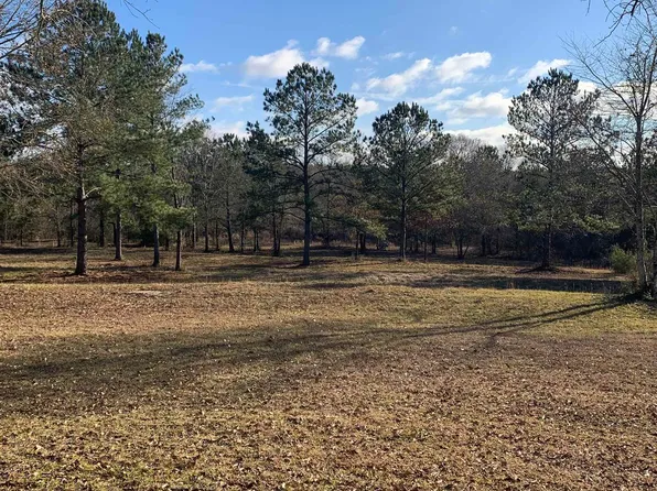12001 Wells Rd, Dozier, AL 36028