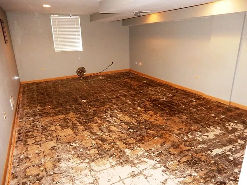 Thumbnail 17