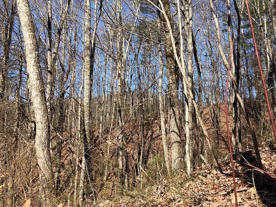 2nd image of 308 Brushy Top Rd