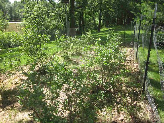 5th image of 2425 W Happy Holw