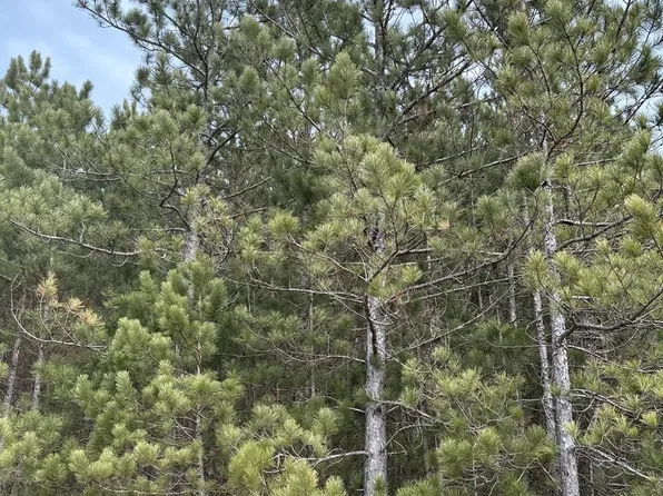 Y Y On Cth, Tomahawk, WI 54487