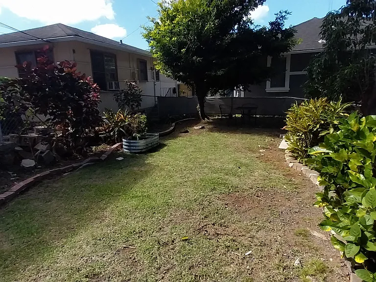 Back yard