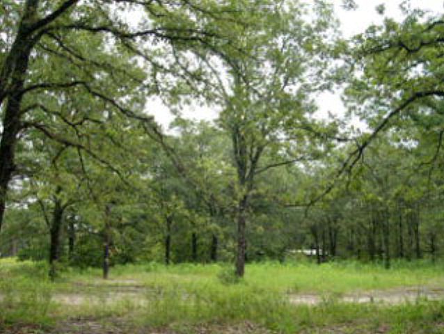 1st image of 222 Forest Lane Dr