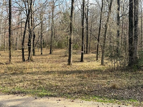 2nd image of 38 Shadow Creek Loop
