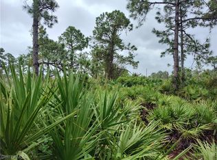 6008 Rena Ave N, Lehigh Acres, FL 33971