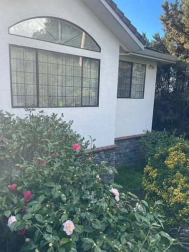 22796 Templeton St Photo 1