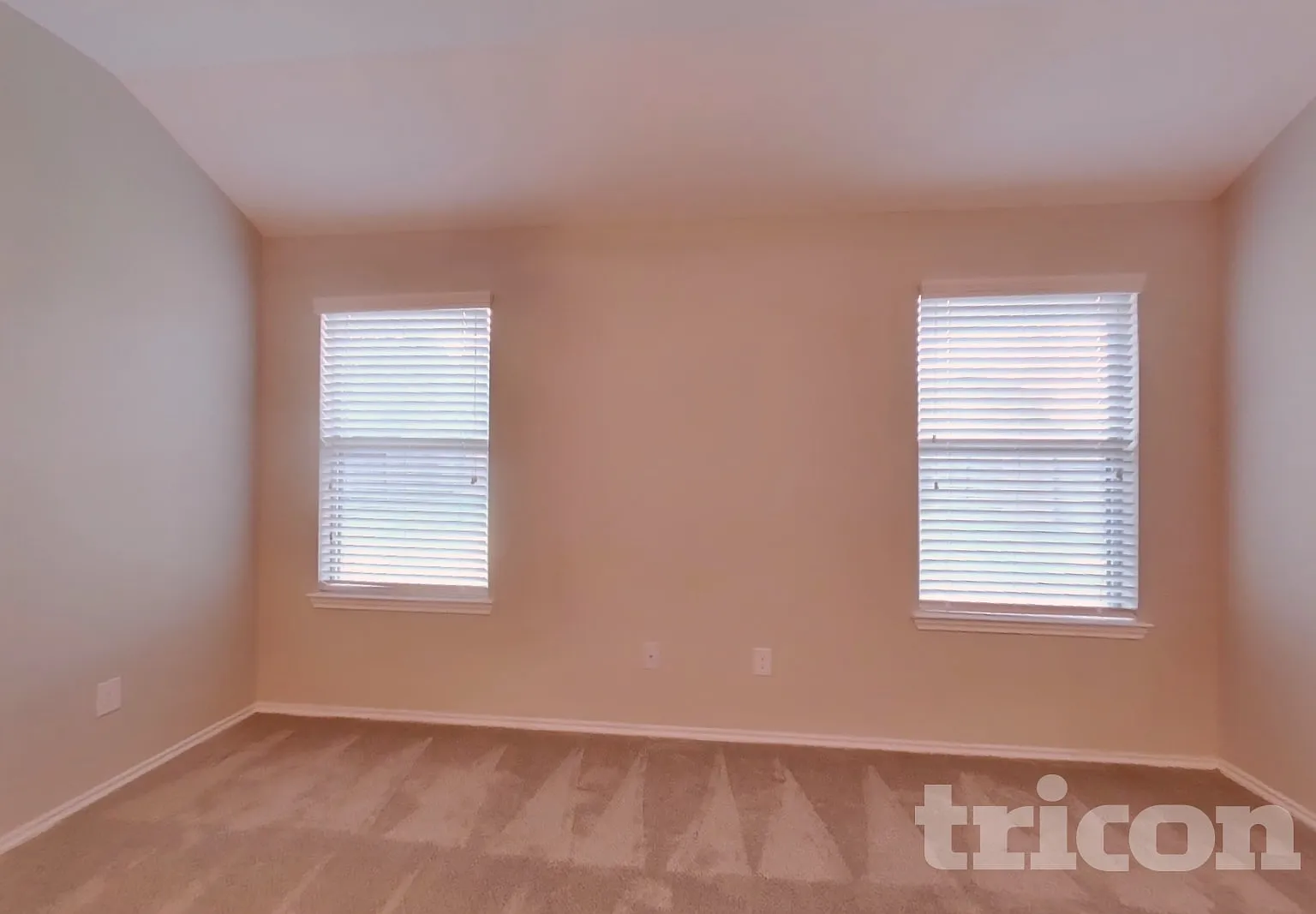 23414 Elsie Wood Drive Spring TX — Photo 2