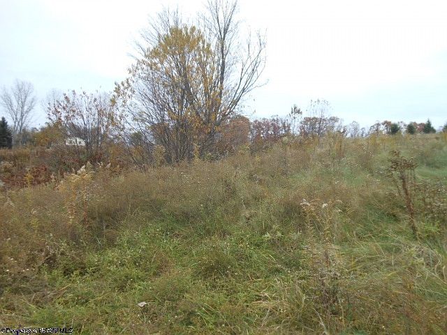 2nd image of 23 Brandonville Hts