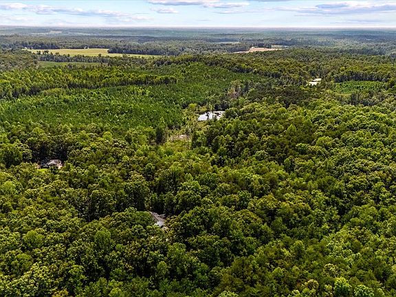 3rd image of Pond Rd