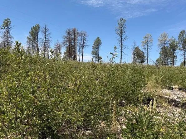 8 Movac Loop, Timberon, NM 88350