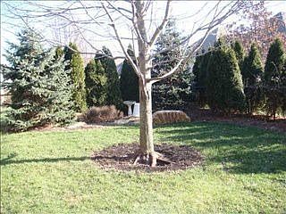 5th image of 1615 Shannon Lakes Dr