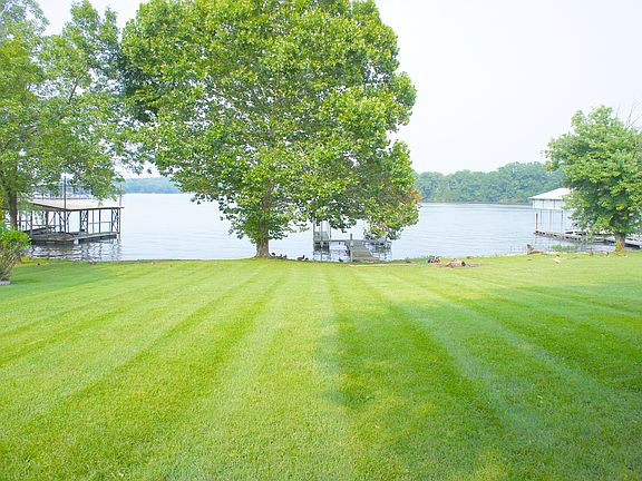 Level back yard