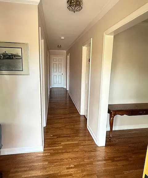 2994 Dapple Way — Photo 8