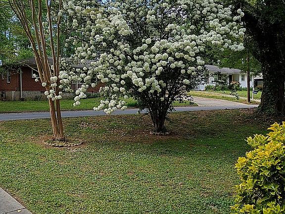 4th image of 121 Ingleside Dr