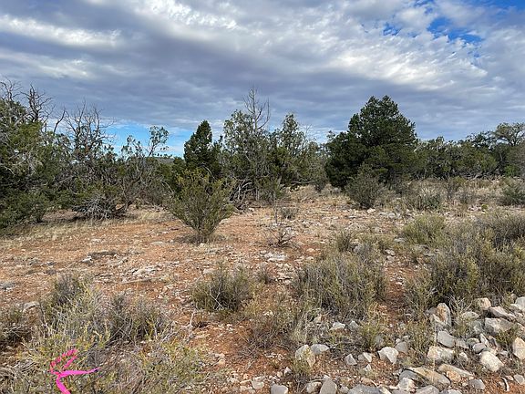 3rd image of 53784 N Juniper Way