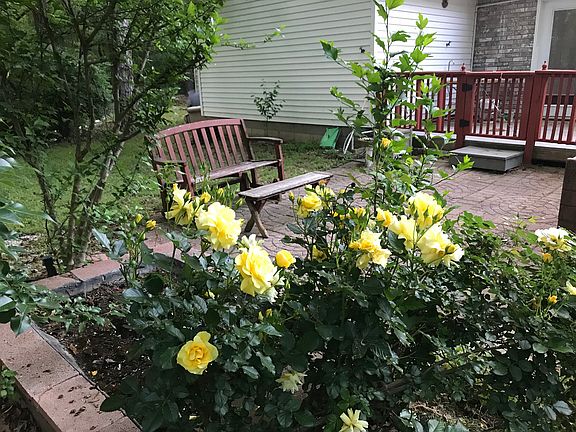 4th image of 1293 Lakeshore Dr