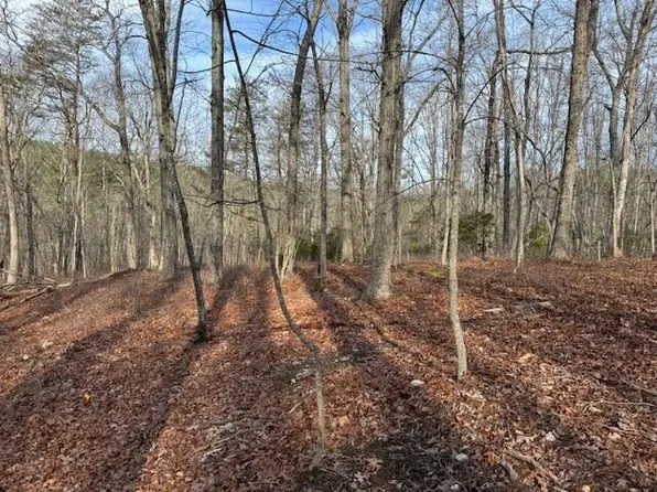 36 Chestnut Dr, Hardy, VA 24101