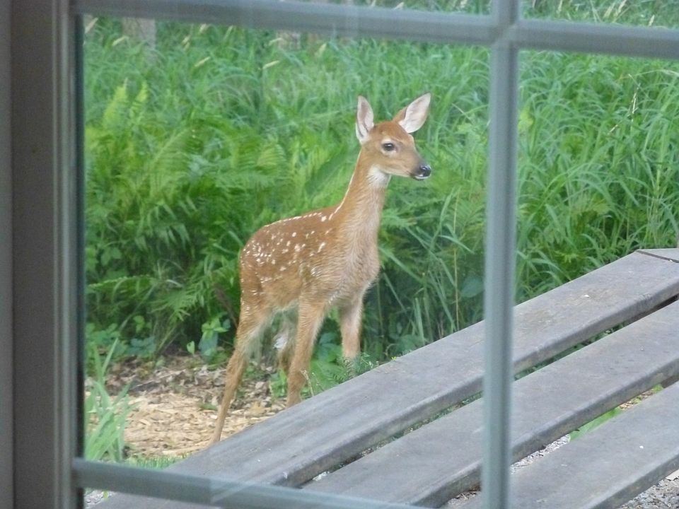 Photo taken from living room
