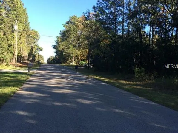 1424 W Stafford St, Hernando, FL 34442