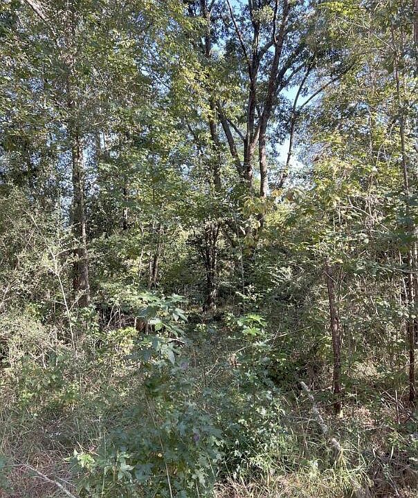 2nd image of Jack Rd