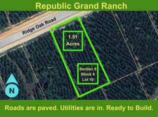 15925 Ridge Oak Rd, Willis, TX 77378