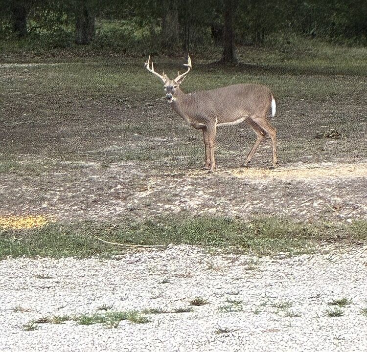 1st image of 0 Turkeyfoot Rd