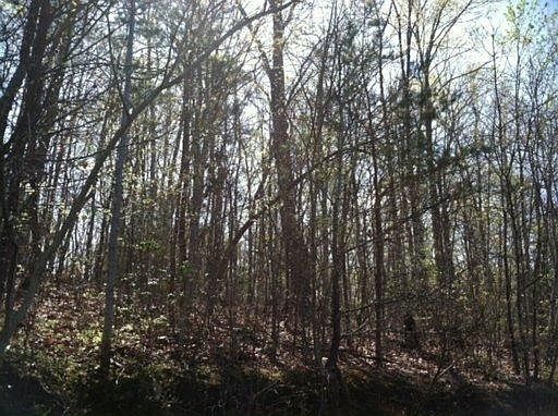 2nd image of 215 Whippoorwill Dr