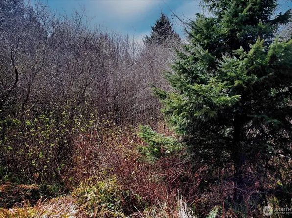 31 Ocean Beach Road, Pacific Beach, WA 98571