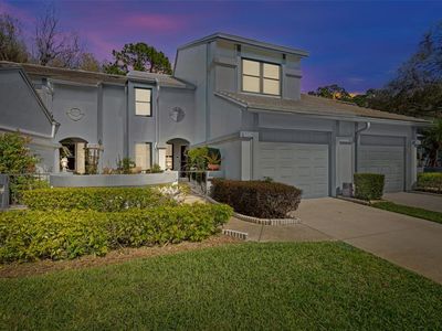 4115 Brentwood Park Cir, Tampa, FL, 33624