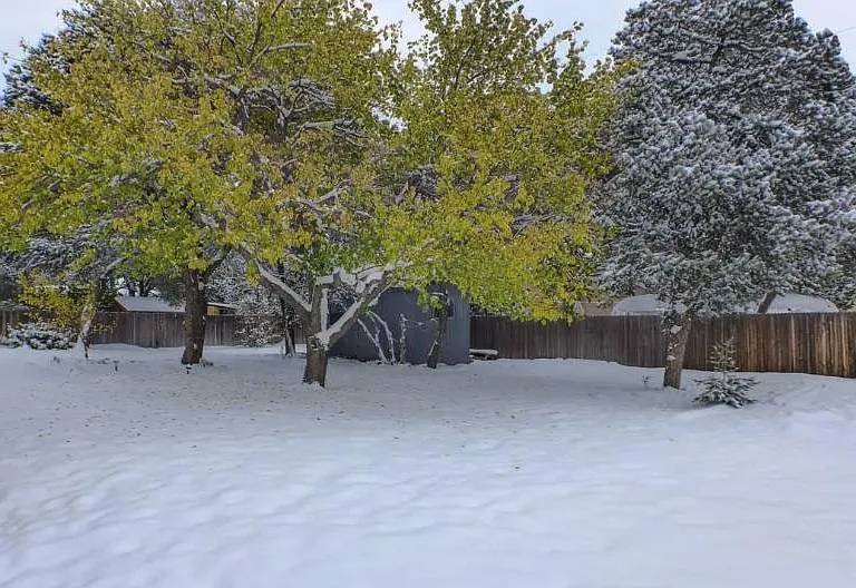 117 Bandelier Ave — Photo 19