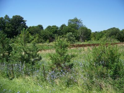 LOT 2 Sandy Bluff Rd LOT 2, Plano, IL, 60545