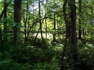 LOT 8 Falling Leaf Trl, Park Rapids, MN 56470