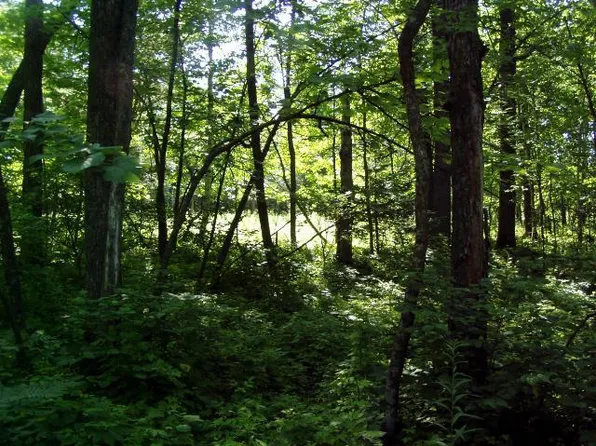 LOT 8 Falling Leaf Trl, Park Rapids, MN 56470