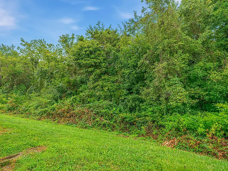 10810 Carpenter Run Ln — Photo 32